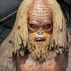 Meet your Posher, Joe